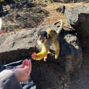 ヒメ日記 2025/02/10 18:24 投稿 薺（なずな） ビッグバード