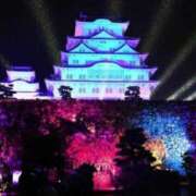 ヒメ日記 2025/02/21 20:44 投稿 薺（なずな） ビッグバード