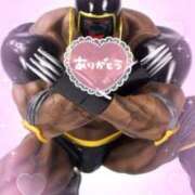 ヒメ日記 2025/03/04 23:57 投稿 薺（なずな） ビッグバード