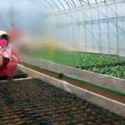 ヒメ日記 2025/03/09 14:44 投稿 薺（なずな） ビッグバード