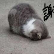 ヒメ日記 2025/03/15 12:24 投稿 薺（なずな） ビッグバード