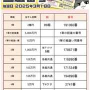 ヒメ日記 2025/03/18 20:24 投稿 薺（なずな） ビッグバード