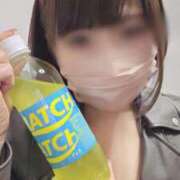 ヒメ日記 2025/03/28 13:57 投稿 薺（なずな） ビッグバード