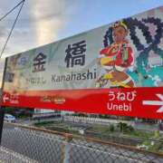 ヒメ日記 2025/03/31 23:34 投稿 薺（なずな） ビッグバード