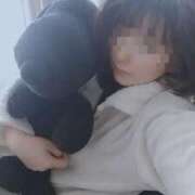 ヒメ日記 2025/04/11 12:28 投稿 薺（なずな） ビッグバード