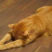 ヒメ日記 2025/04/12 13:11 投稿 薺（なずな） ビッグバード