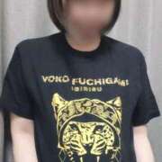 ヒメ日記 2025/04/19 17:50 投稿 薺（なずな） ビッグバード