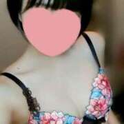 ヒメ日記 2025/04/23 22:14 投稿 薺（なずな） ビッグバード