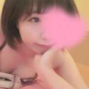 ヒメ日記 2025/05/14 16:44 投稿 薺（なずな） ビッグバード