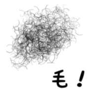 ヒメ日記 2025/06/25 13:54 投稿 薺（なずな） ビッグバード