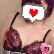 ヒメ日記 2025/06/26 20:44 投稿 薺（なずな） ビッグバード