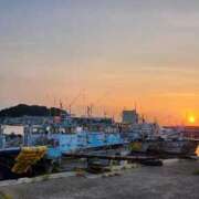 ヒメ日記 2025/08/17 08:54 投稿 薺（なずな） ビッグバード