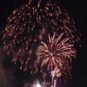 ヒメ日記 2025/08/20 23:34 投稿 薺（なずな） ビッグバード