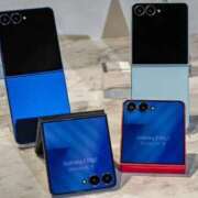 ヒメ日記 2025/08/28 15:18 投稿 薺（なずな） ビッグバード