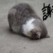 ヒメ日記 2025/10/24 14:51 投稿 薺（なずな） ビッグバード