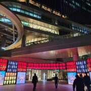 ヒメ日記 2025/10/29 11:24 投稿 薺（なずな） ビッグバード