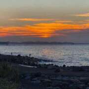 ヒメ日記 2025/11/03 22:54 投稿 薺（なずな） ビッグバード