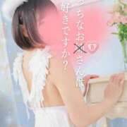 ヒメ日記 2025/11/09 13:14 投稿 薺（なずな） ビッグバード