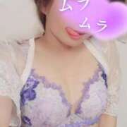 ヒメ日記 2025/12/09 20:04 投稿 薺（なずな） ビッグバード