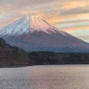 ヒメ日記 2026/01/19 23:34 投稿 薺（なずな） ビッグバード