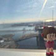 ヒメ日記 2026/02/03 15:34 投稿 薺（なずな） ビッグバード