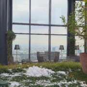 ヒメ日記 2026/02/12 00:54 投稿 薺（なずな） ビッグバード