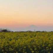 ヒメ日記 2026/02/23 22:04 投稿 薺（なずな） ビッグバード