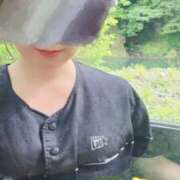 ヒメ日記 2026/03/31 15:11 投稿 薺（なずな） ビッグバード