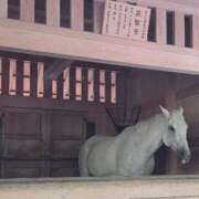 ヒメ日記 2026/06/18 00:14 投稿 薺（なずな） ビッグバード