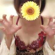 ヒメ日記 2026/06/20 21:14 投稿 薺（なずな） ビッグバード