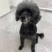 ヒメ日記 2025/09/27 15:18 投稿 あきな リアル 日本橋店