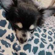 ヒメ日記 2025/12/05 12:08 投稿 あきな リアル 日本橋店