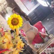 あきな もうすぐ リアル 日本橋店