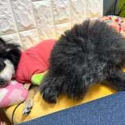 あきな 出勤しました リアル 日本橋店