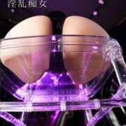 ヒメ日記 2025/04/16 08:53 投稿 もえ 痴女@女王様