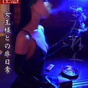 ヒメ日記 2025/06/09 10:03 投稿 もえ 痴女@女王様