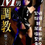 ヒメ日記 2025/08/13 12:23 投稿 もえ 痴女@女王様