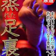 ヒメ日記 2025/08/24 09:43 投稿 もえ 痴女@女王様