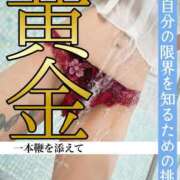 ヒメ日記 2025/12/02 09:33 投稿 もえ 痴女@女王様