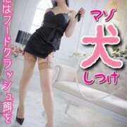 ヒメ日記 2026/01/04 17:23 投稿 もえ 痴女@女王様