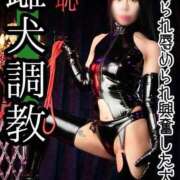 ヒメ日記 2026/02/10 12:33 投稿 もえ 痴女@女王様