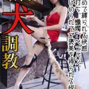 もえ 緊縛犬調教 痴女@女王様