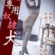 ヒメ日記 2026/03/09 12:33 投稿 もえ 痴女@女王様