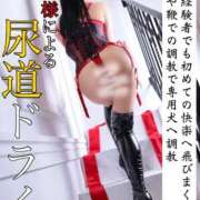 ヒメ日記 2026/04/07 09:43 投稿 もえ 痴女@女王様