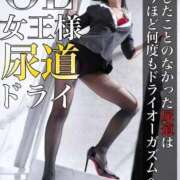 ヒメ日記 2026/04/13 09:33 投稿 もえ 痴女@女王様