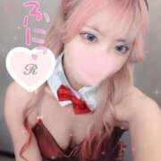 ヒメ日記 2025/05/03 11:32 投稿 れいか【FG系列】 クラブFG（FG系列）