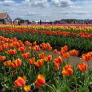 ヒメ日記 2025/04/23 13:01 投稿 ユノ エピソード(品川)