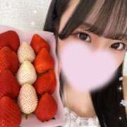 ヒメ日記 2025/05/23 13:00 投稿 さら ビアガーデンカーニバル