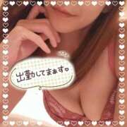 ヒメ日記 2025/09/16 15:58 投稿 くれは リアル 日本橋店