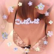 くれは 月は今夜もにやり リアル 日本橋店